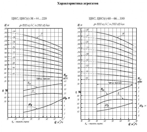 grafik_cns