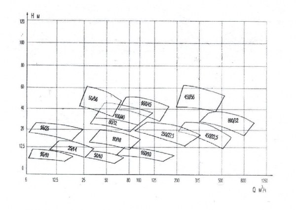 grafsd46