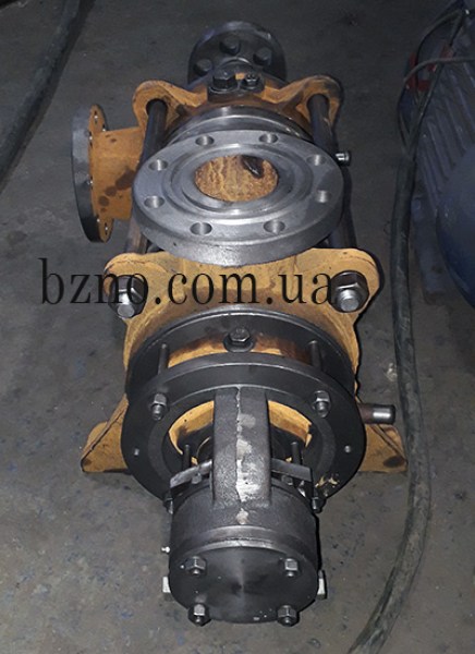 nasos-cnsg-10583